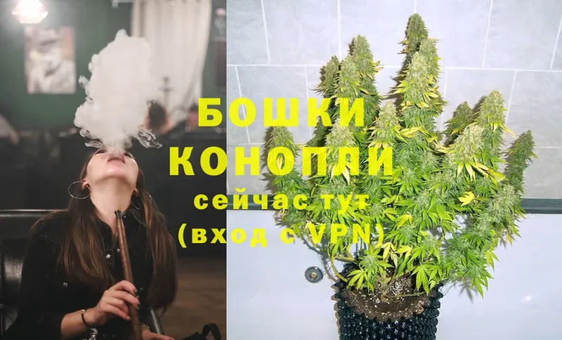 Канабис Ganja  Уяр 